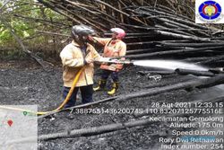 Rumpun Bambu Terbakar Bikin Warga Gemolong Sragen Panik