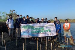 Lestarikan Lingkungan, Tim ITNY Tanam Mangrove di Pantai Trisik