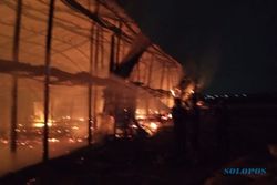Kebakaran Kandang Ayam di Tegowanu Grobogan, 20.000 Ayam Terpanggang