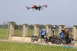 Keren! Petani di Indramayu Jawa Barat Uji Coba Penggunaan Drone untuk Pengendalian OPT