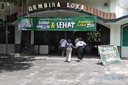 Dapat Izin Menparekraf, GL Zoo Perbolehkan Anak di Bawah 12 Tahun Masuk