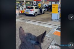 Ngece! Kuda Nyelonong Antrean SPBU di Tengah Krisis BBM Inggris