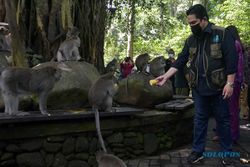 Menteri BUMN Kunjungi Monkey Forest Bali, Serahkan Bantuan Pakan untuk Kera Ekor Panjang