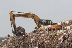 Wadaw! Sampah di Purbalingga Bisa Setinggi Candi Borobudur, Kok Bisa?