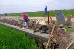 Kompak, 800 Orang Bergerak Bantu TMMD di Majasto Sukoharjo