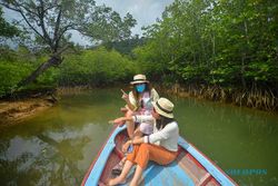 Menikmati Keindahan Hutan Mangrove di Kawasan Wisata Mandeh Sumbar