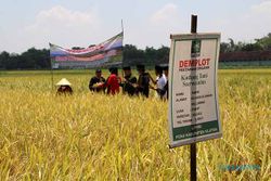 LPPNU Klaten: Harga Hasil Pertanian Rendah Hambat Regenerasi Petani