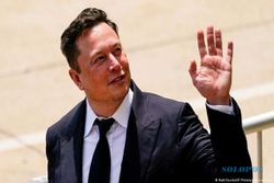 Twitter Hapus 1 Juta Akun Palsu Per Hari, Jawab Tantangan Elon Musk?