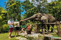 Terbebani Biaya Operasional, Gembira Loka Zoo Hanya Buka Akhir Pekan