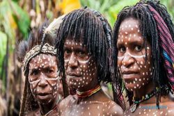 Luhut Janjikan Rp100 Miliar, Begini Tanggapan Aktivis Papua