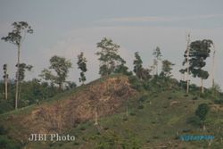 Waduh, Lahan Kritis di Karanganyar Capai 12.000 Hektare