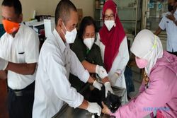Pertahankan Status Bebas Rabies, DPKPP Klaten Vaksin Hewan Peliharaan
