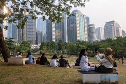 Menikmati Wisata Hutan Kota GBK Dikelilingi Gedung Tinggi di Jakarta