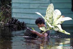 Ratusan Rumah Terendam Banjir, Petugas Evakuasi Warga di Dumai Riau