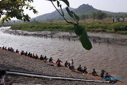 Dam Colo Ditutup: Ratusan Pencari Ikan Menyerbu, Ini Penampakannya