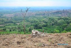 Hutan Pulau Jawa Tersisa 17%, Rentan Undang Bencana Iklim