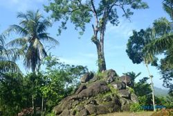 Misteri Pohon Tua di Situs Watu Tumpang Kebumen