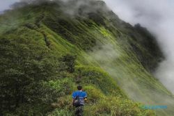 Gunung Muria Purba & Jejak Bangsa Lemuria, Leluhur Orang Jawa