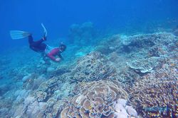 Surga Harta Karun Tak Ternilai, Eksplorasi Laut Dalam Indonesia di Depan Mata