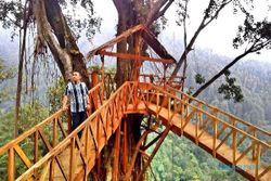 Pesona Wisata Rumah Pohon Hits di Brebes