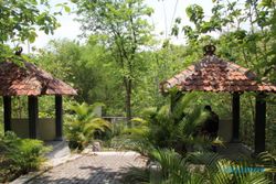 Asale Nama Desa Jarum di Klaten dari Buah Maja yang Berarorama Harum