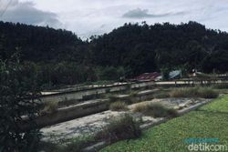 Paralayang PON Papua, Salah Mendarat Masuk Kandang Buaya