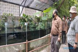 Banyak Pengunjung di Bawah 12 Tahun Ditolak, GL Zoo Minta Dispensasi