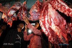 Intervensi Harga Daging di Pasar, Pemerintah Impor Ribuan Ekor Sapi
