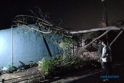 Hujan Deras & Angin Kencang di Semarang, Pohon Tumbang Timpa Rumah