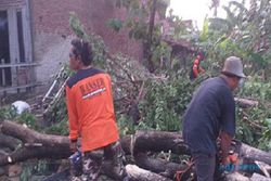 Angin Puting Beliung Terjang 4 Desa di Kudus, Ratusan Rumah Warga Rusak
