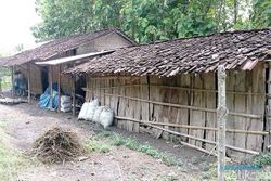 Kisah Sedih Guru Honorer di Ngawi, Tinggal Seatap dengan 6 Ekor Kambing