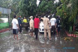 Diterjang Angin, Pohon Tumbang Timpa Mobil di Mireng Klaten