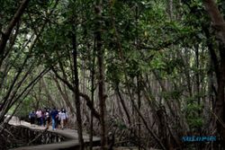 Mangrove untuk Kesejahteraan dan Mengurangi Emisi Gas Rumah Kaca