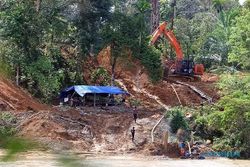2.000 Hektare Hutan Aceh Rusak, WALHI: Akibat Tambah Emas Ilegal