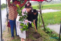 Pasangan Pengantin Klaten Rela Hujan-Hujanan Demi Tanam Pohon