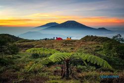 Gunung Prau, Spot Golden Sunrise Terbaik di Jawa Tengah