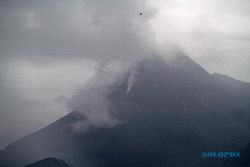 Gunung Merapi 46 Kali Luncurkan Material Vulkanis