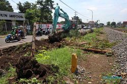 Persiapan Pembangunan Rel Layang Joglo, 186 Pohon Dicabut & Dipindah