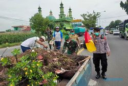 Waduh, 76 Pot Bunga di Jalan Solo-Jogja di Klaten Ditemukan Rusak