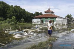 Rumah dan Tambak di Bekasi Tergenang Banjir Rob, Ini Penampakannya