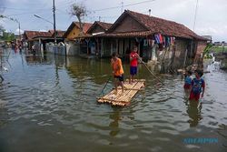 Banjir Rob Belum Surut, Ratusan Rumah di Pekalongan Masih Terendam