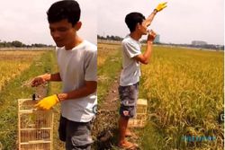 Sedih! Pria Pamer Burung Parkit Jinak, Saat Diterbangkan Tak Kembali