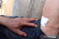 Diserang Buaya, Ketua DPRD Bangka Belitung Selamat dari Maut