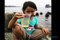 Buang Limbah Parasetamol ke Teluk Jakarta, 2 Perusahaan Kena Sanksi