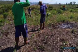 Berburu Harta Karun di Desa Kutukan Blora: Bawa Linggis Dapat Emas