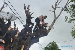 Antisipasi Bencana, Polisi di Sukoharjo Pangkas Pohon di Tepi Jalan