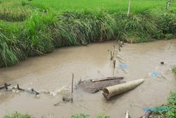 Waduh! Pipa Limbah PT RUM Sukoharjo di Kali Gupit Nguter Patah & Bocor