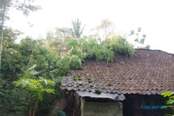 Bruk! Rumah Ortu Anggota Tim SAR Karanganyar Tertimpa Pohon Tumbang