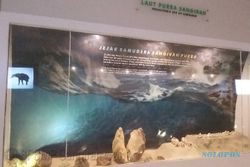 Soloraya Pernah Jadi Habitat Hiu Raksasa Megalodon