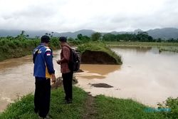 Tanggul Jebol, Puluhan Hektare Tanaman Jagung di Tulungagung Kebanjiran